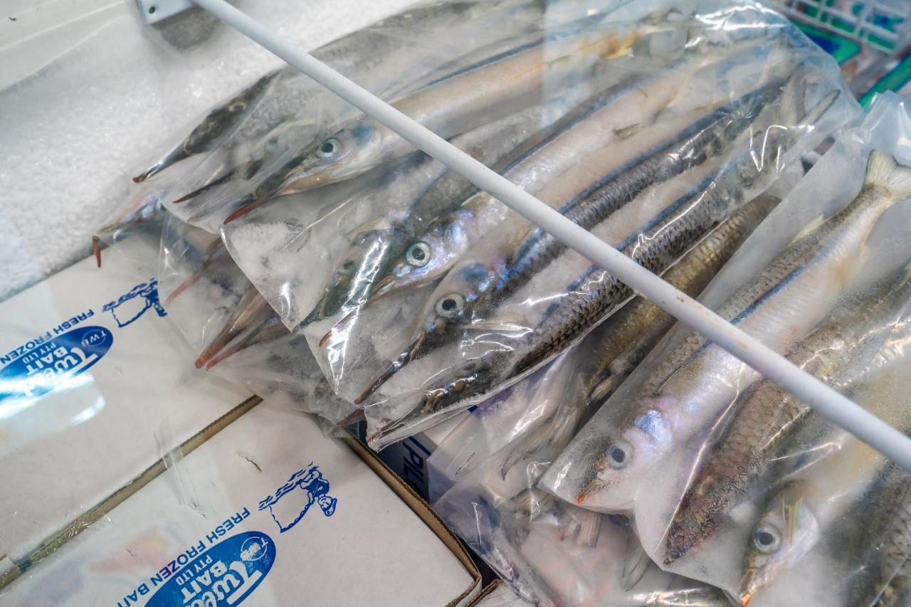 Lucinda Fishing Lodge Εξωτερικό φωτογραφία